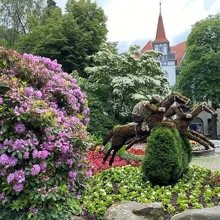 Harzburg 公寓 巴特哈尔茨堡